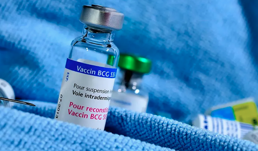 image Le vaccin BCG, de nouveau disponible